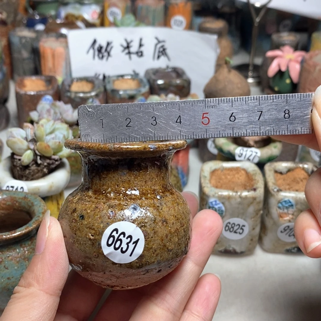 拍5送一个小礼物