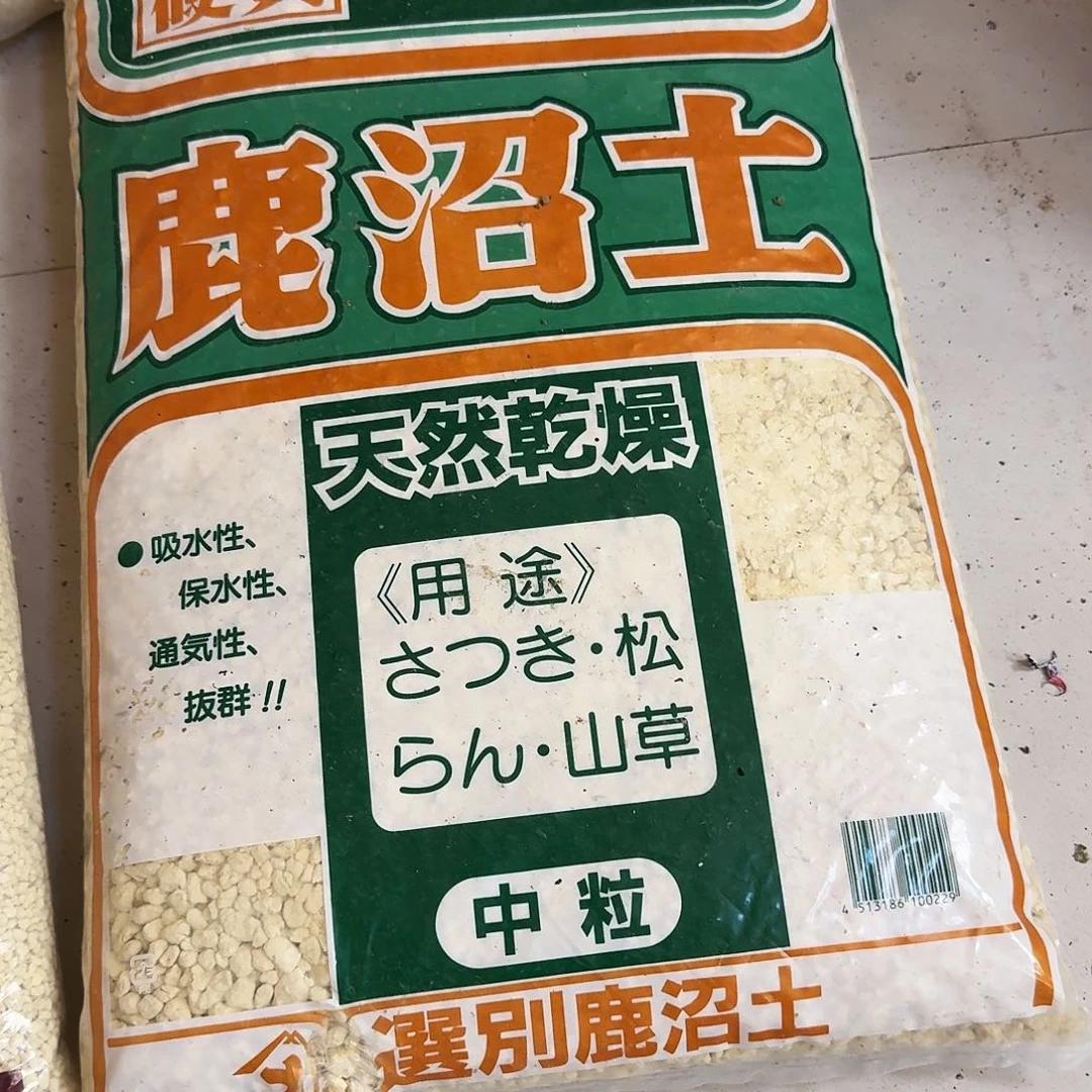 鹿沼土3—6一袋包邮