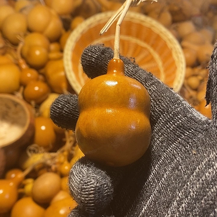 恶**哮不退不换不保龙头通货微瑕完美主义者勿拍