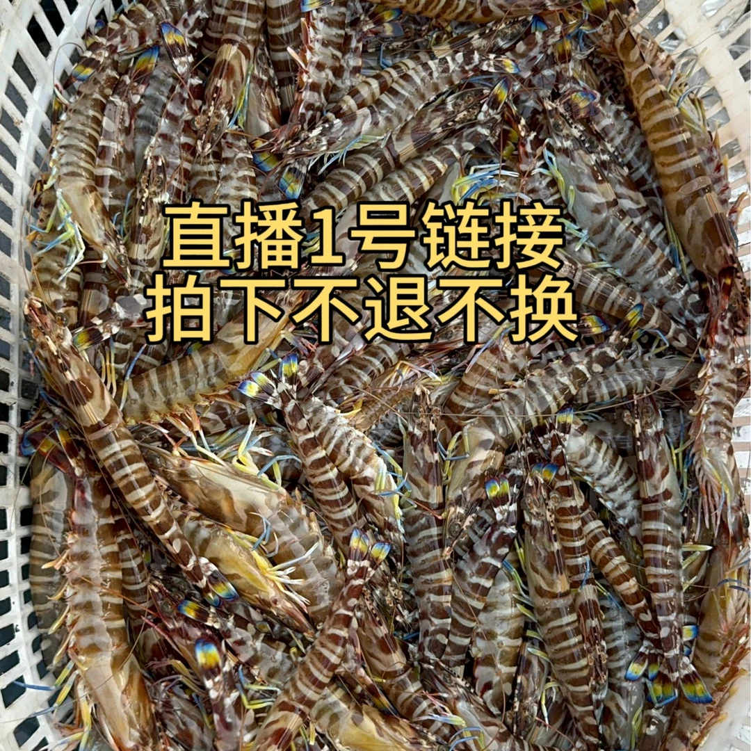 直播1号链接，当天海捕海鲜