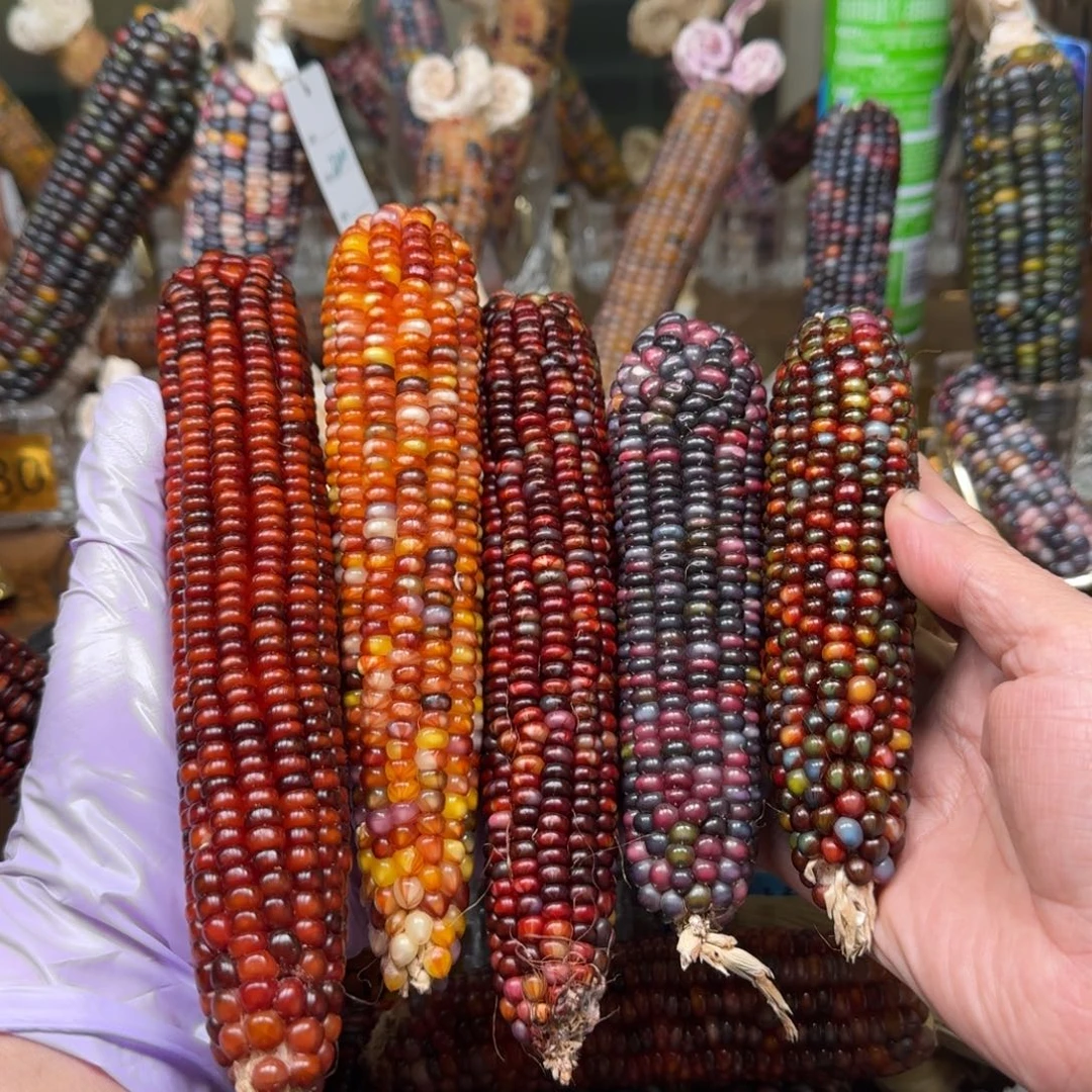 柏香籽/百香籽吊坠F*