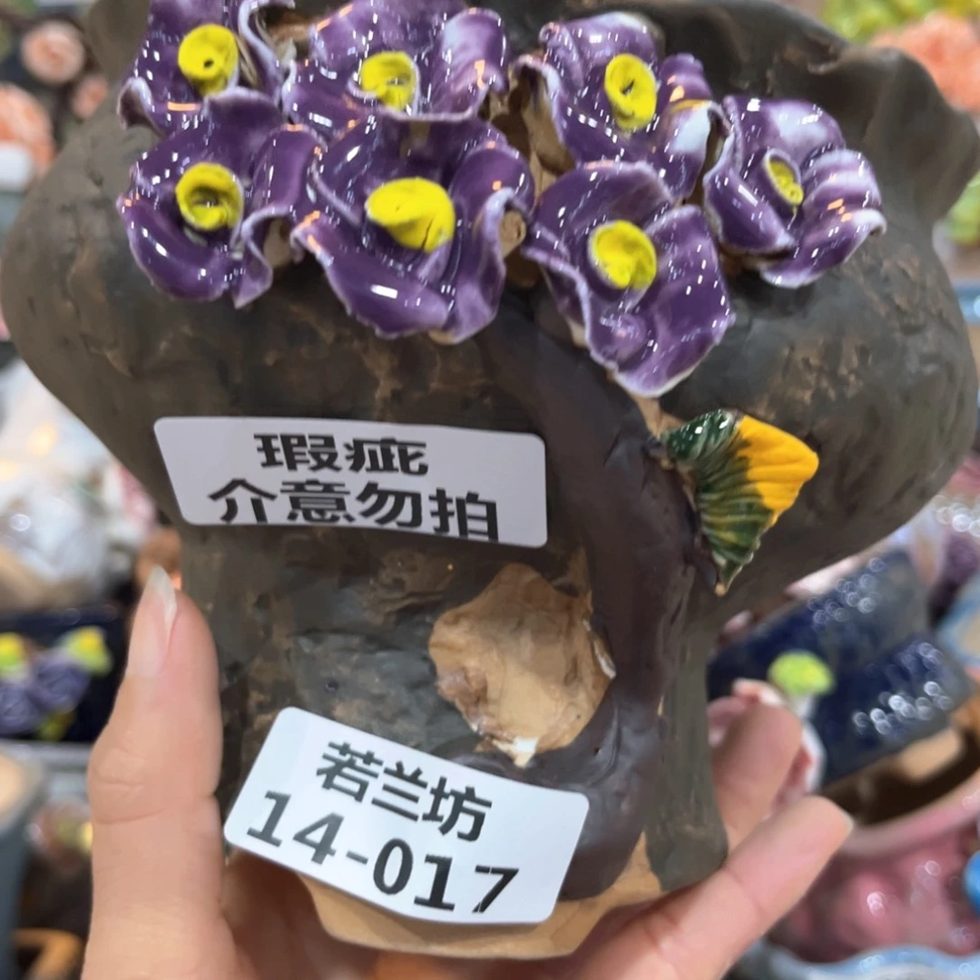 红陶瑕疵瑕疵1417