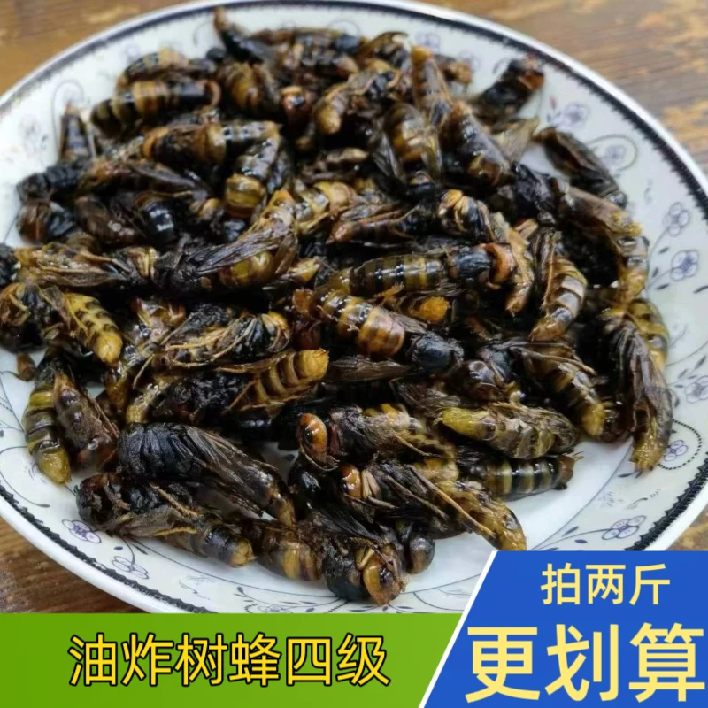 四级黑蜂 油炸树蜂蛹