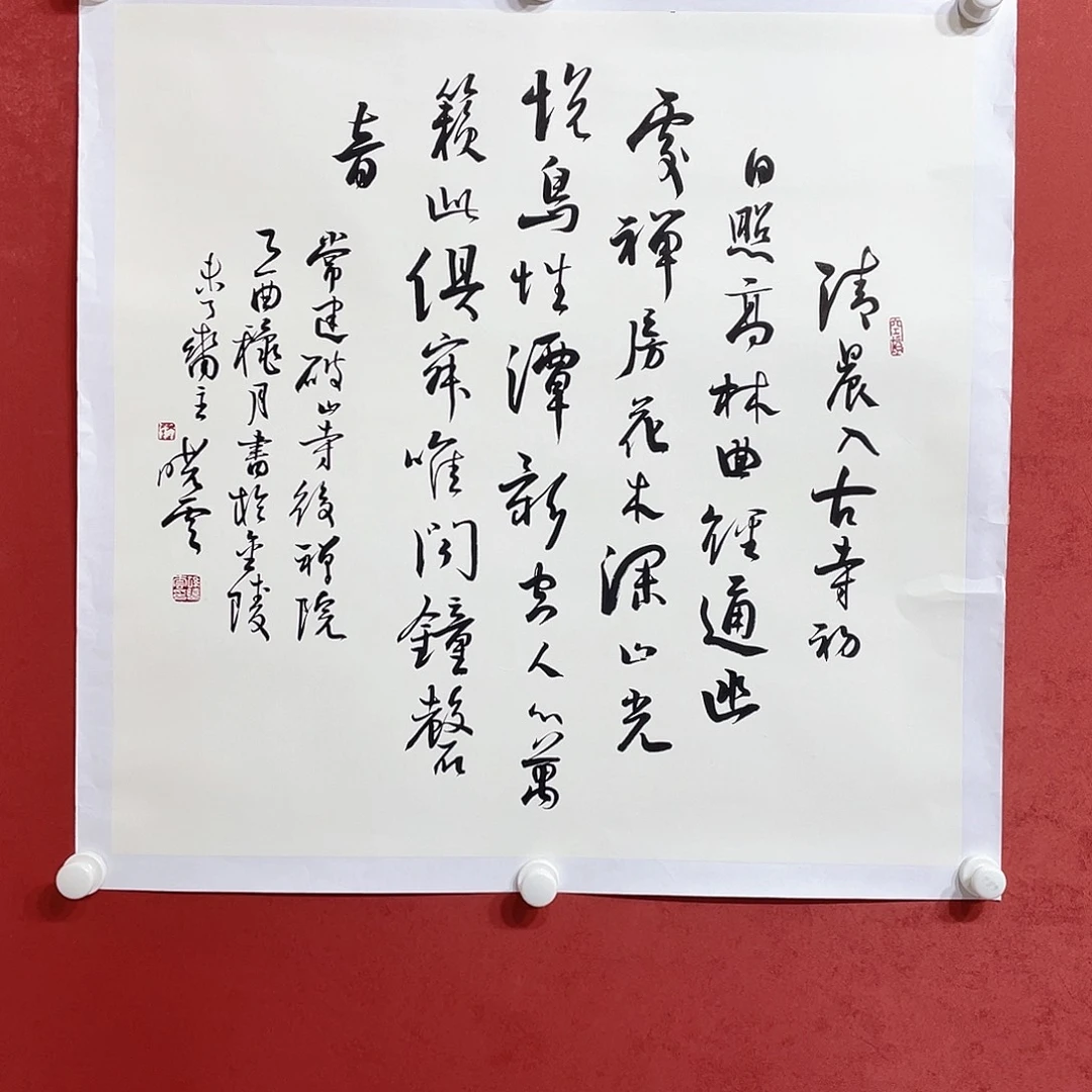 书法清晨入古寺直播大漏