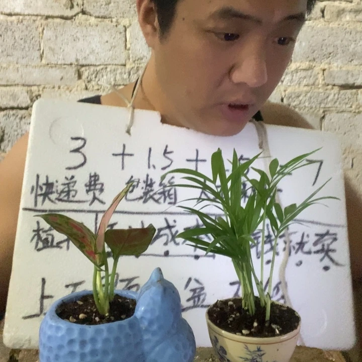 退款拉黑一物一拍242