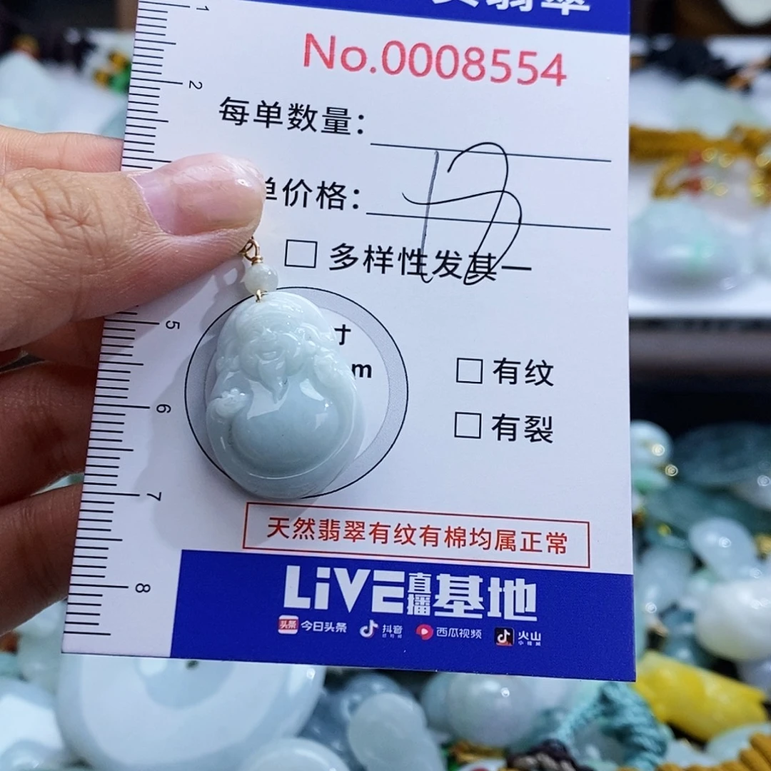翡翠未镶嵌颈饰8554