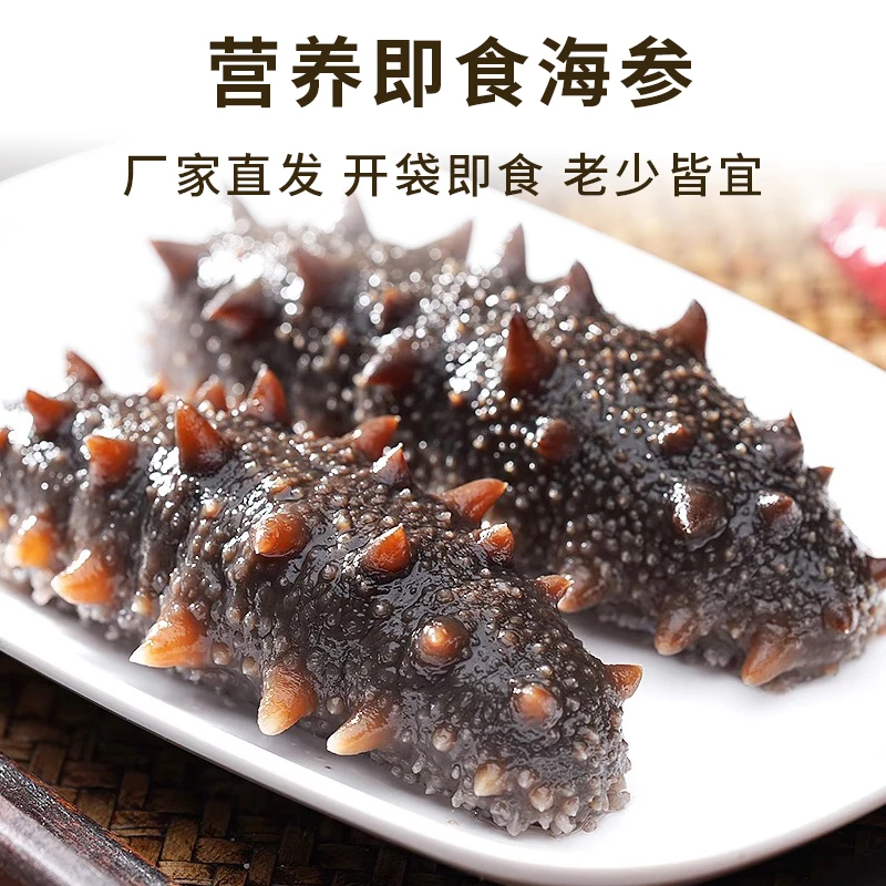 【11-13头/斤】鲜食海参大颗即食深海刺参劲道Q弹海参非淡干干货