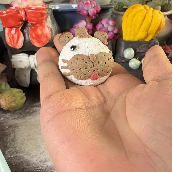 重庆小燕子欢迎大家