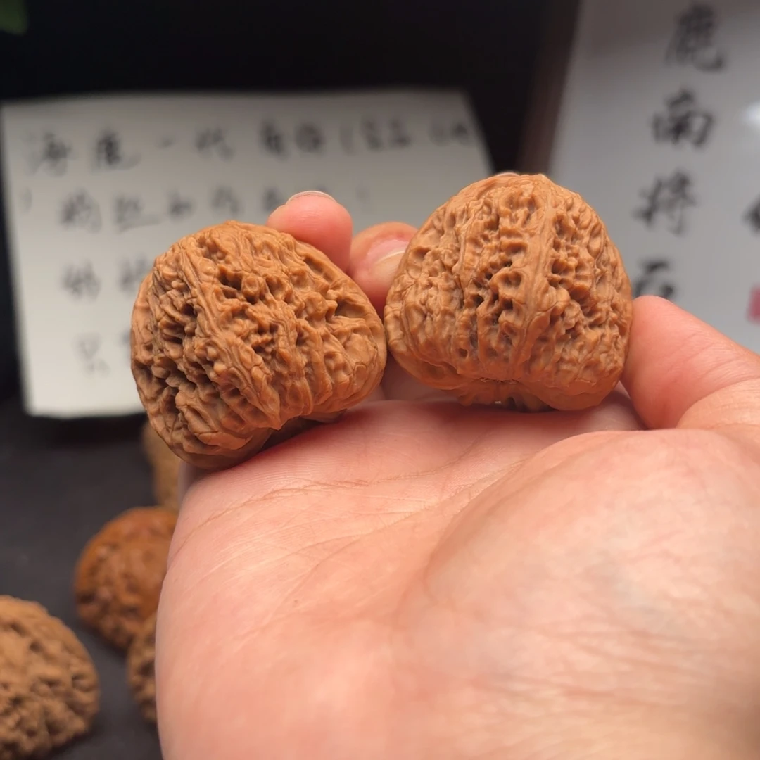 水***东核桃涿鹿南疆一代