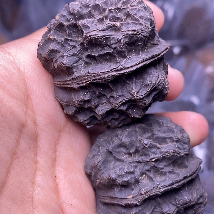 文玩核桃把件   252