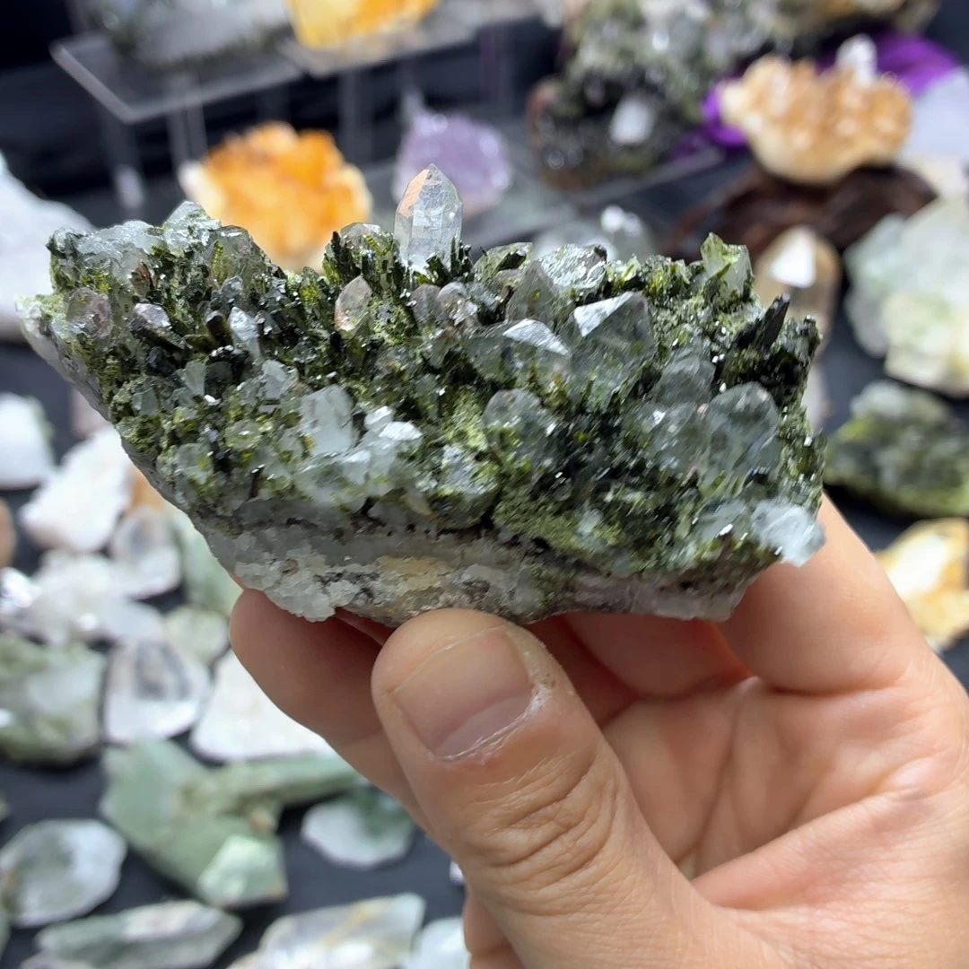 石材跟李姐一样可爱的绿帘