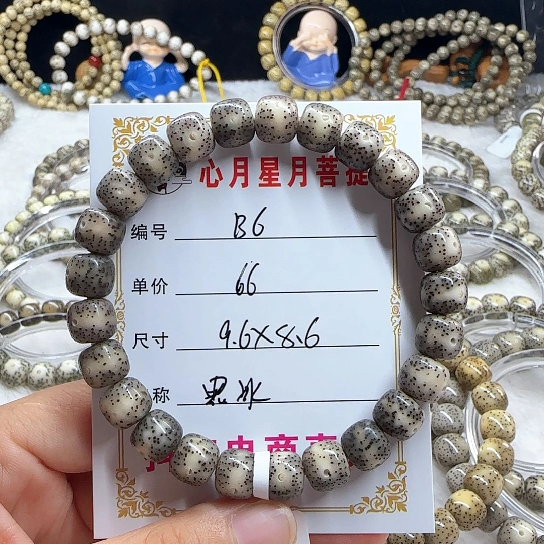 心月星月菩提一号B6