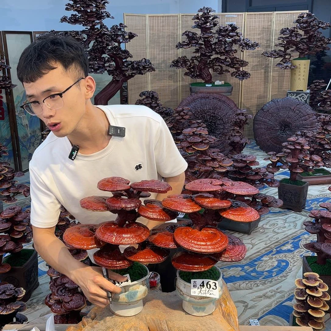 88888888888888888888888