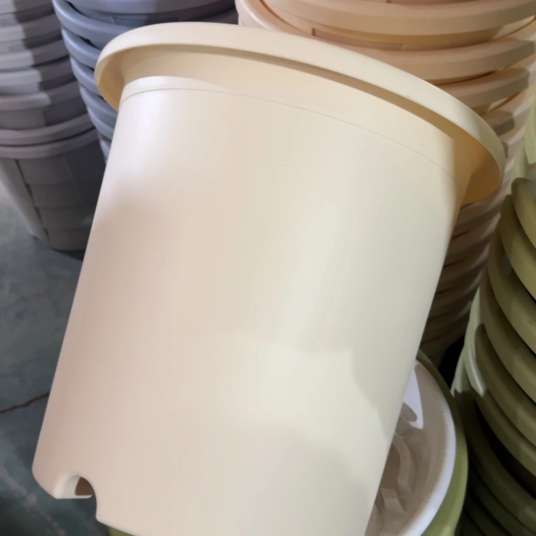 四季8#无拖米黄5个