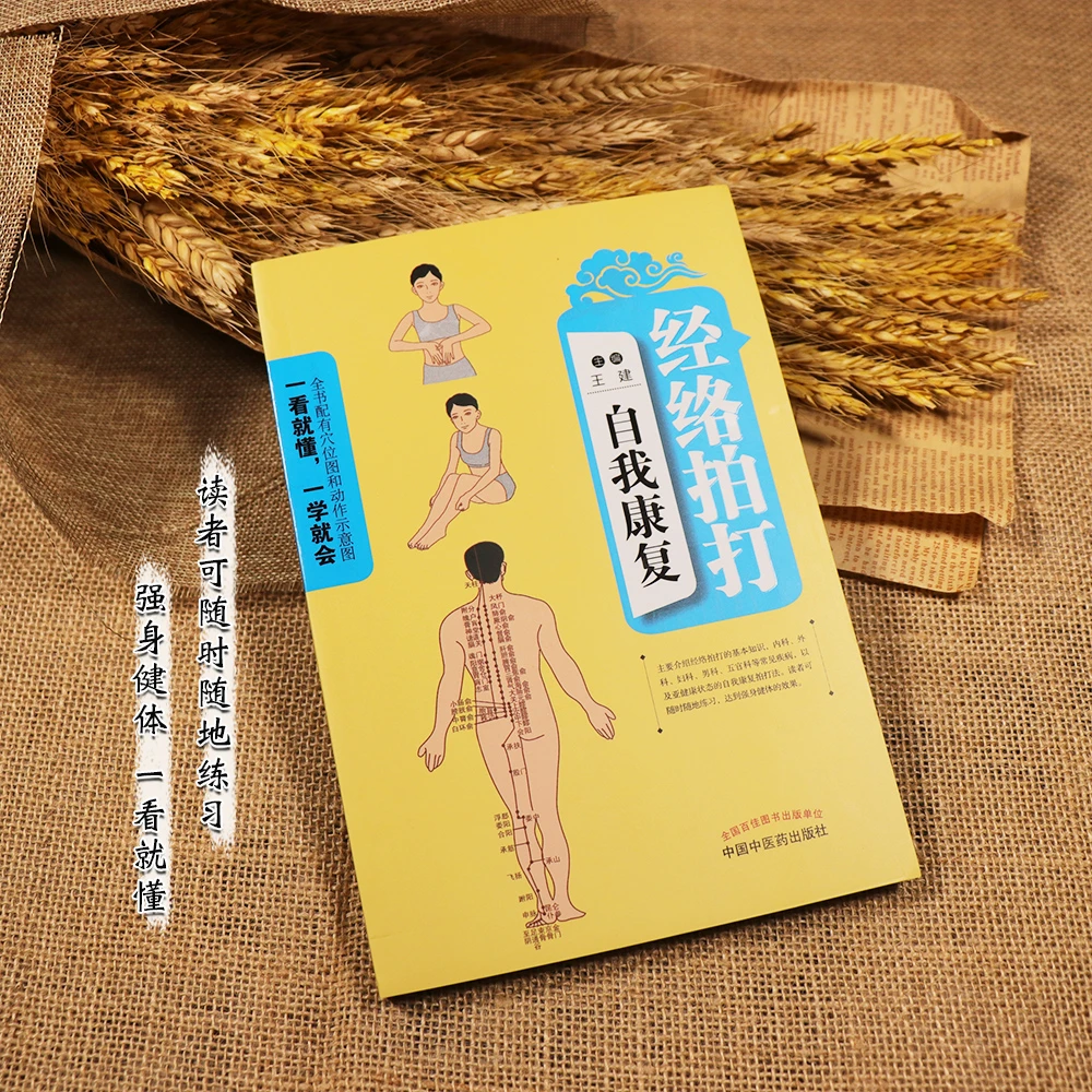 【天地合】经络拍打自我康复 家庭保健 中级基础理论 日常疾病拍打