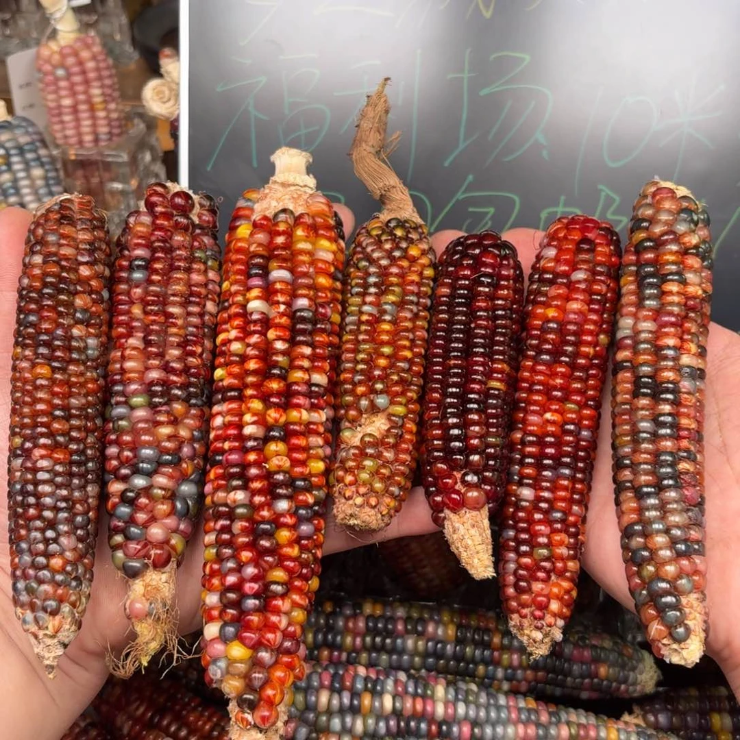 柏香籽/百香籽吊坠m**o