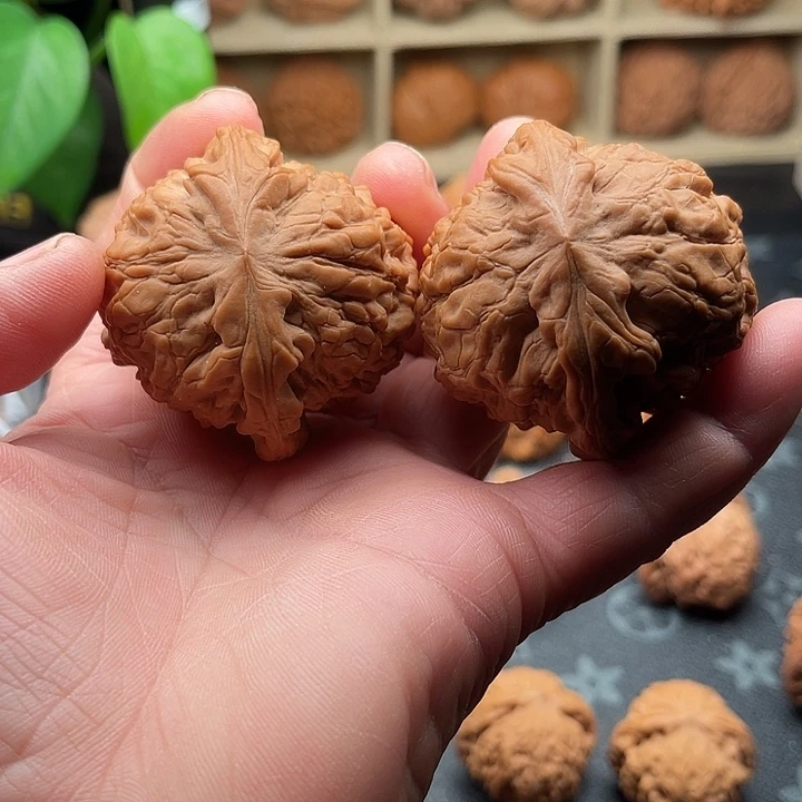 文玩核桃把件全品龙鼎边50