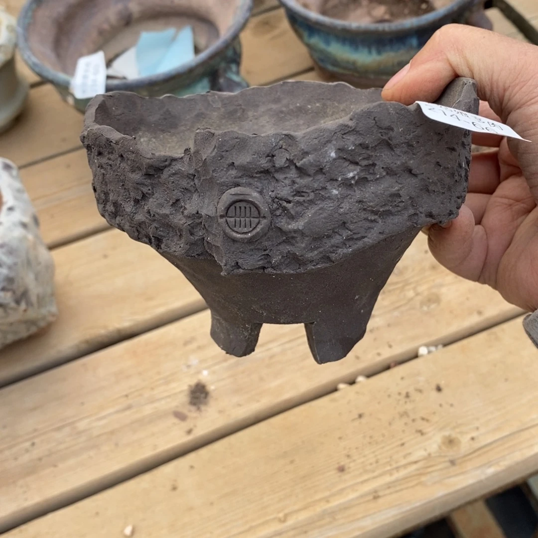 红陶A***n66号多肉盆一个呀