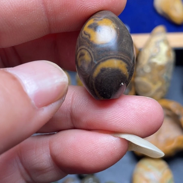 石材纯天然原石奇石164