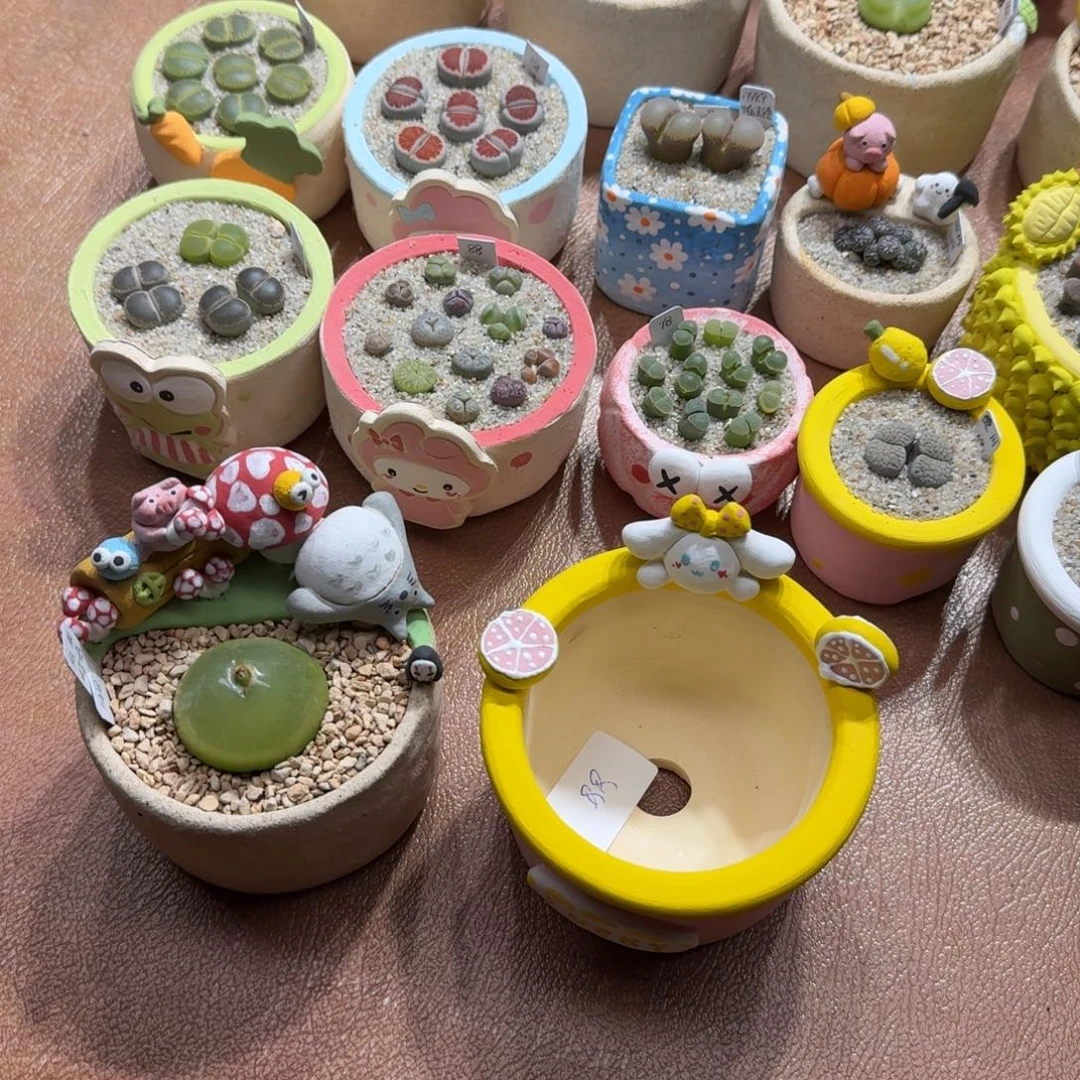 V***a1117-039连盆带花灯泡