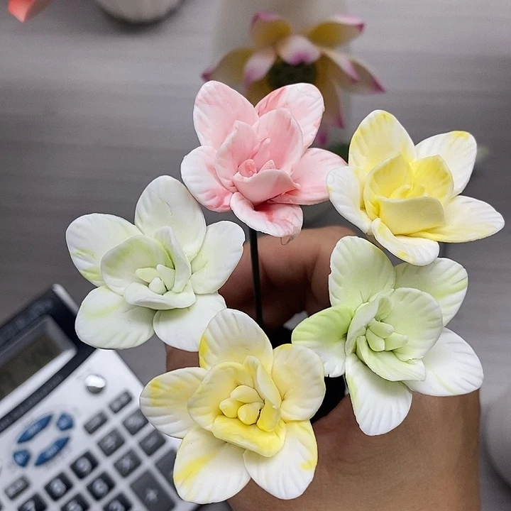 陶瓷陶瓷材料素烧