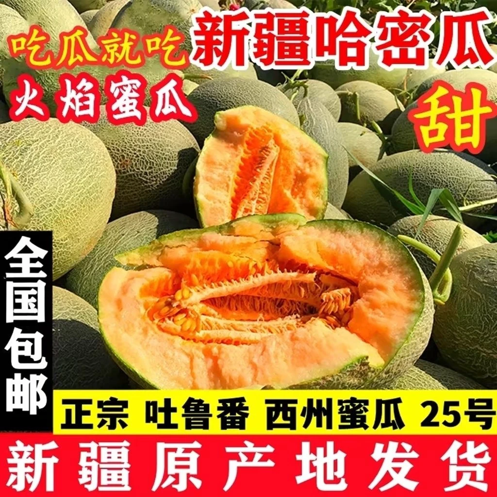 【新疆直发包邮】新疆吐鲁番哈密瓜西州蜜25瓜新鲜水果整箱网纹甜瓜