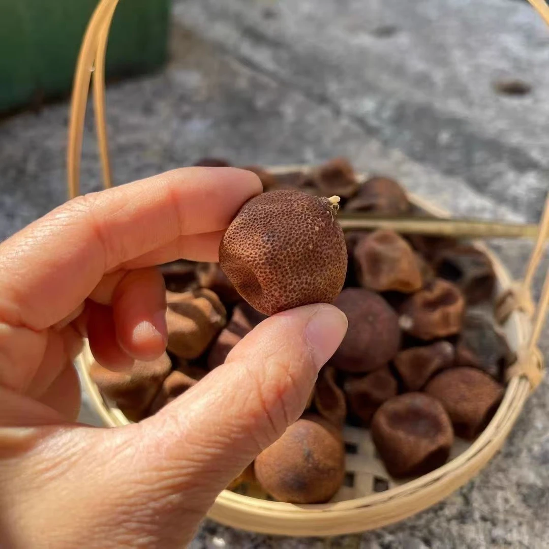 云溪盘龙金果 【杰选陈皮果】生晒 柑宝 250g 拍一发三到手1.5斤