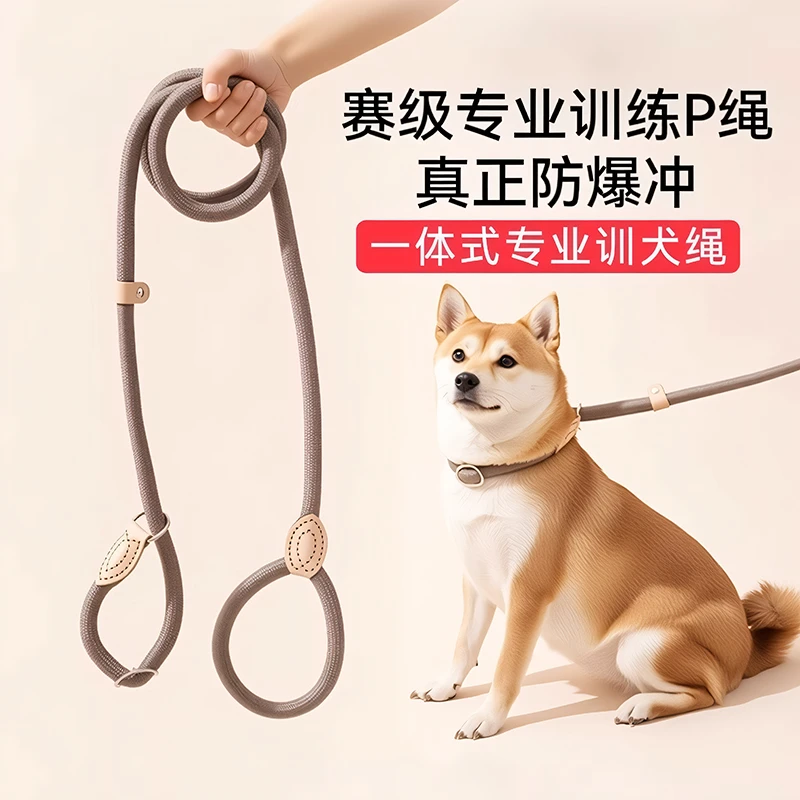 狗狗牵引绳p绳遛狗牵引绳p链牵狗绳中大型犬防爆冲狗链防咬栓狗绳