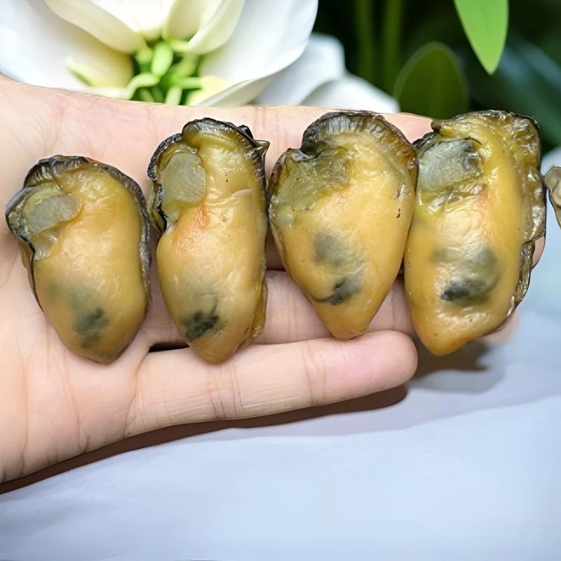 【台山金蚝干】55头左右 生晒无抽油 速冻冷链发货 儿童