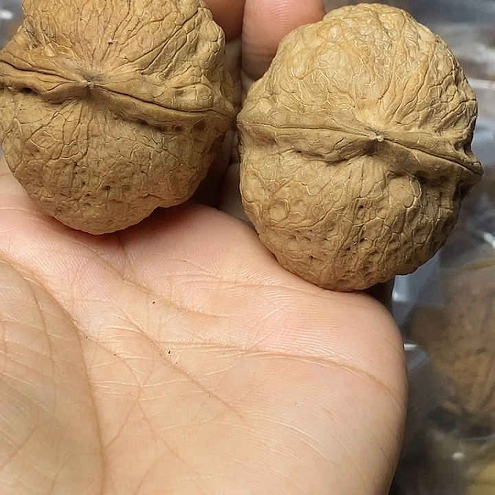 把件文玩核桃云南铁核桃100