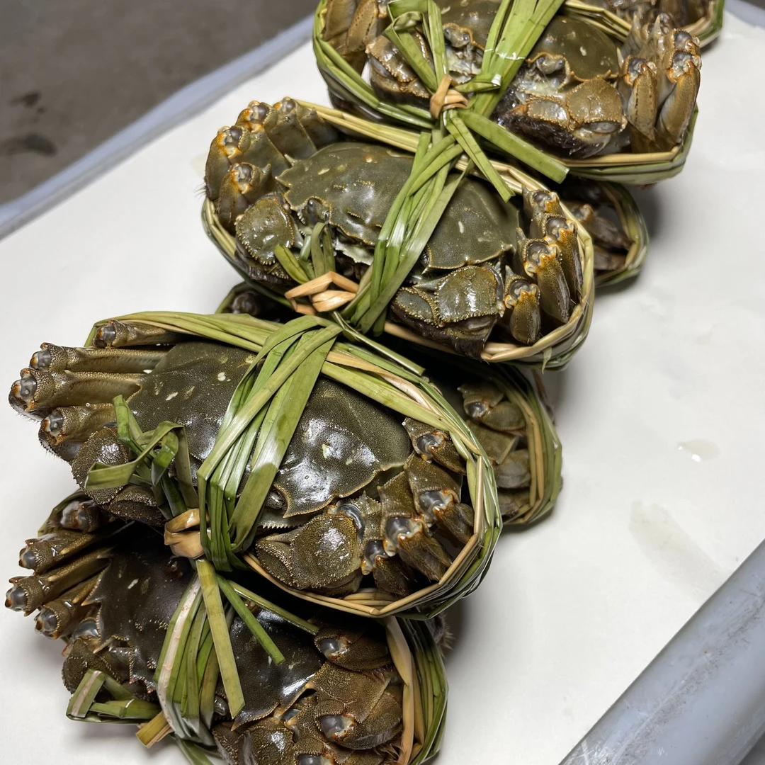 （鲜活）  母蟹3.8-4.1两-公蟹4.8-5.1两（6只起） 大闸蟹