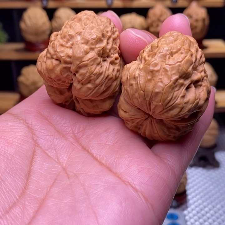 木质类云铁莽古朱哈5号