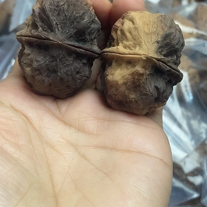 文玩核桃把件云南铁核桃基地53