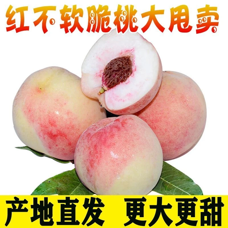 【产地直发】脆甜水蜜桃现摘现发鲜甜多汁应季新鲜水果包邮