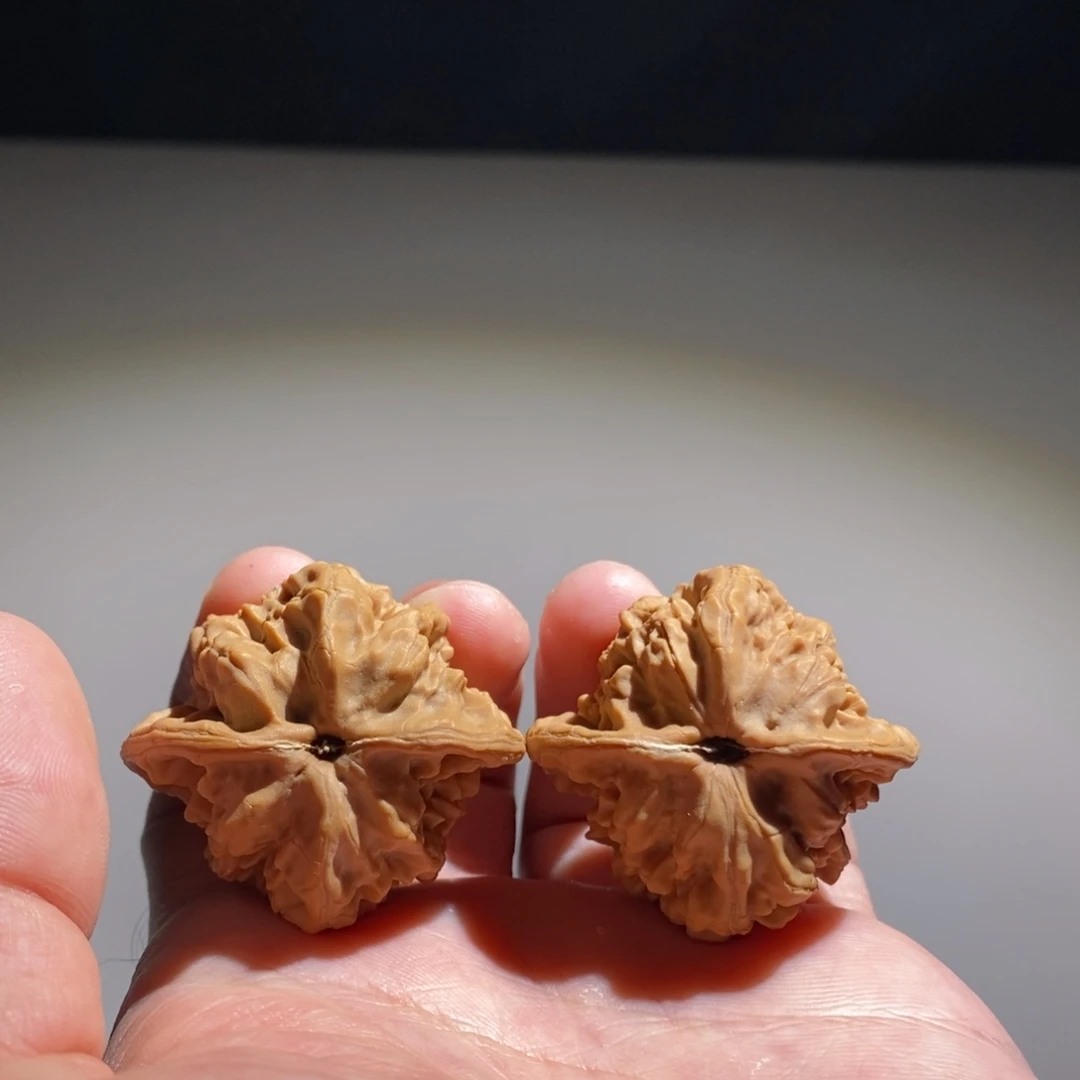 向***。文玩核桃吊坠野生炎龙帽