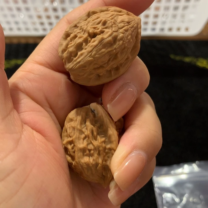 桃核吊坠大红袍29尺寸25块