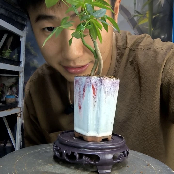 果*.中青园艺一物一拍188