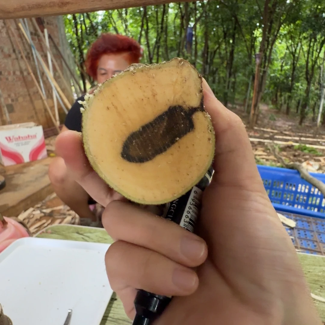 线香奇楠沉香原木