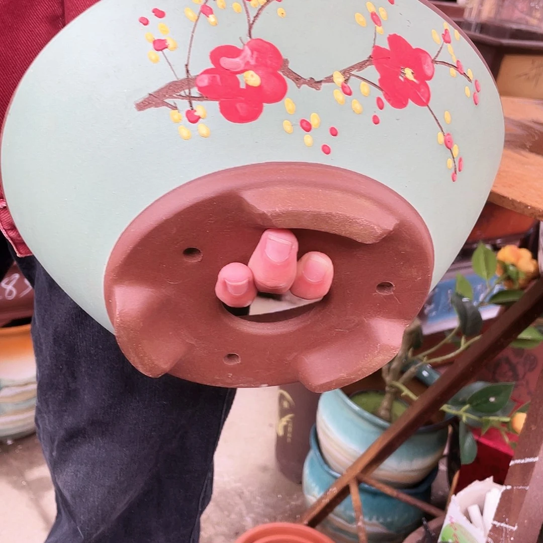 宜兴紫砂花盆绿斗盆点菜大