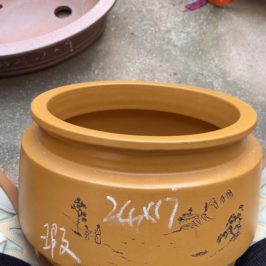 花盆紫砂盆景艺术