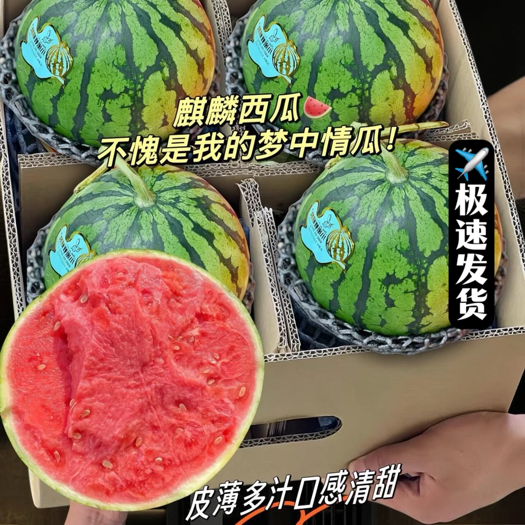 新鲜美都麒麟西瓜8424云南现摘薄皮脆甜爽口新鲜粉瓤薄皮坏果包赔