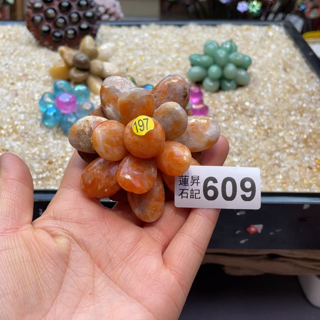 核桃木/黑胡桃（胡桃木）W****7609