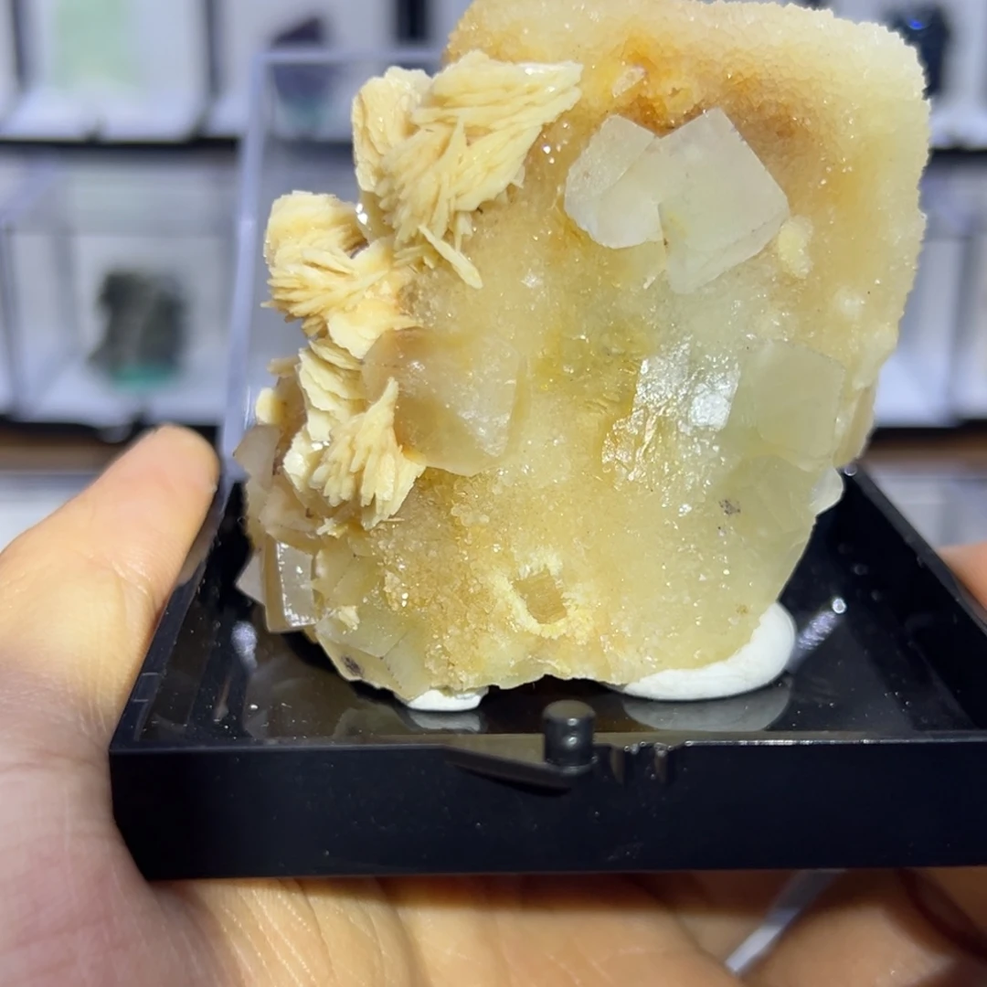 阿***驴石材直播链接121212