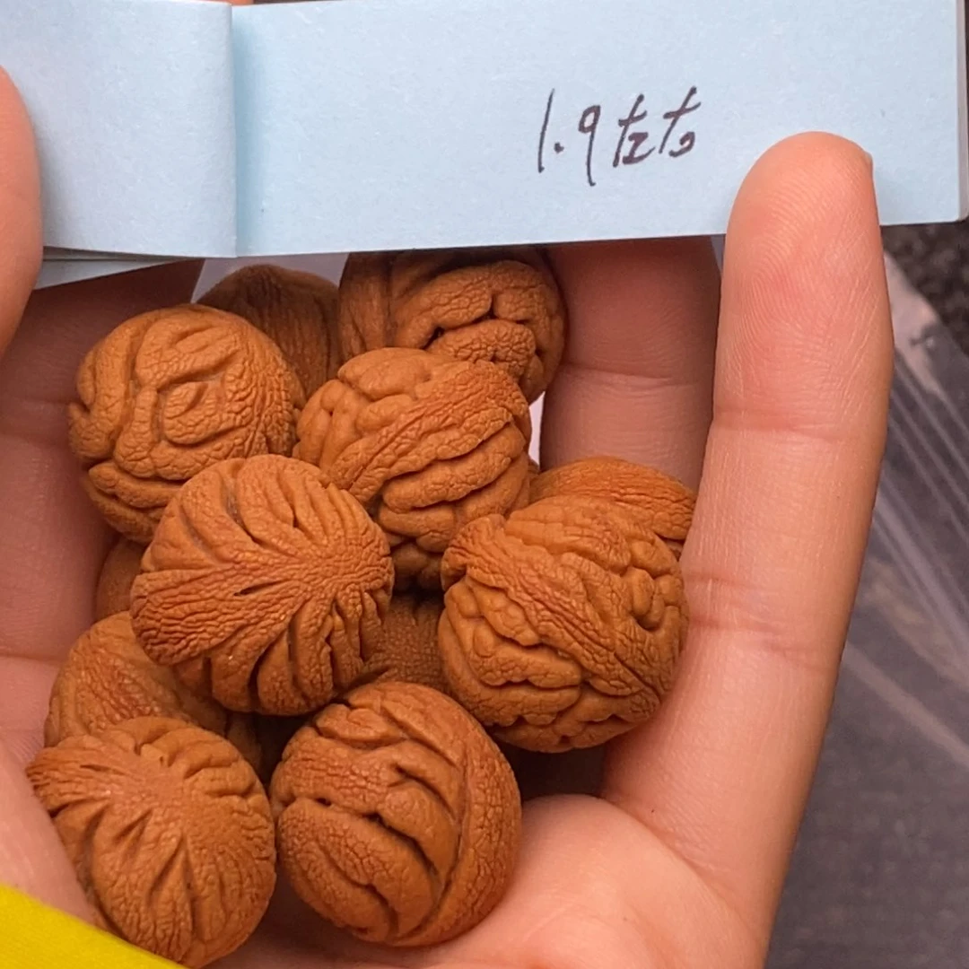 秦岭山脉龙纹桃核 14