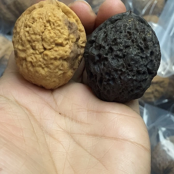 文玩核桃把件云南铁核桃基地4