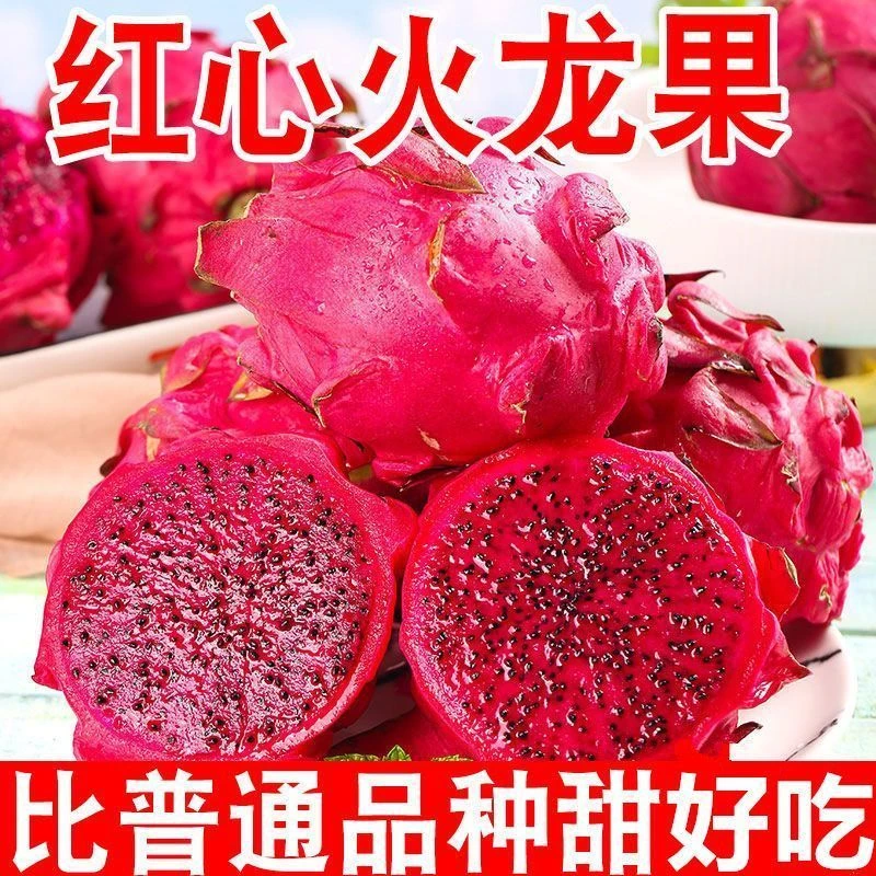 正宗广西爆甜红心火龙果金都一号蜜宝水果现摘现发产地直播