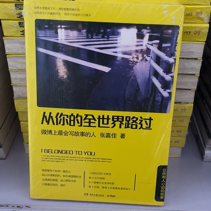 从你全世界路过 平装带塑封