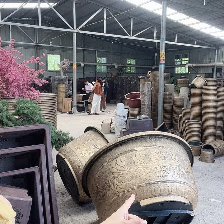 盆景7855586256358669