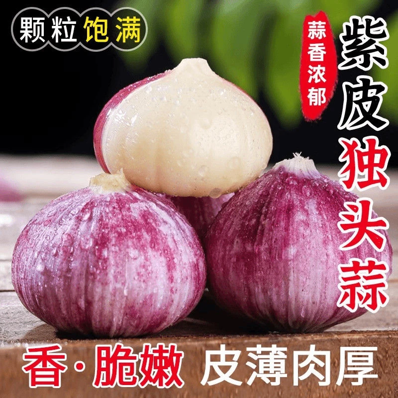 【超低价】现挖正宗云南紫皮独头蒜新鲜湿蒜红皮0.5/1/2/3/5斤包邮
