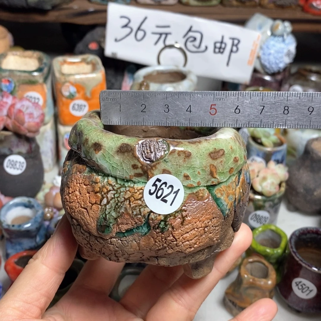 花盆拍3送一个小礼物